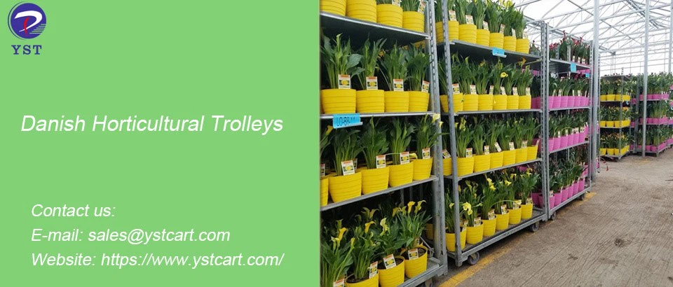 Danish Horticultural Trolleys-13 Danish Horticultural Trolleys-13