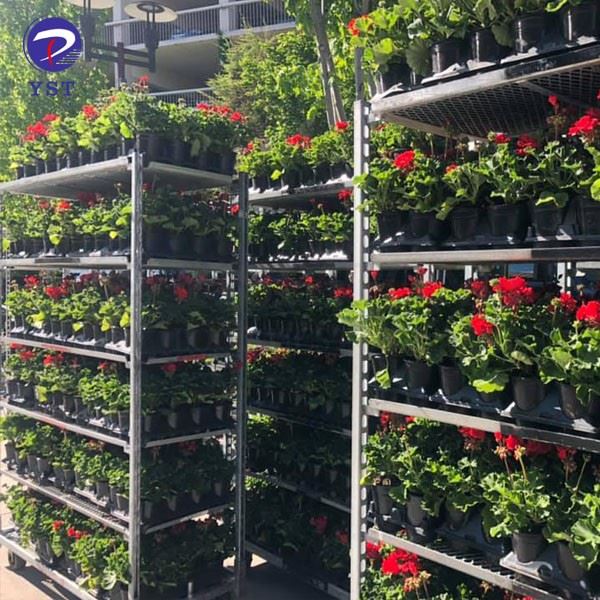 Dutch Cart For Florists