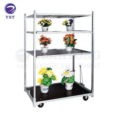 Nieuwe Nederlandse trolley