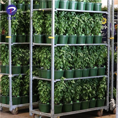 Rollende plantenwagen