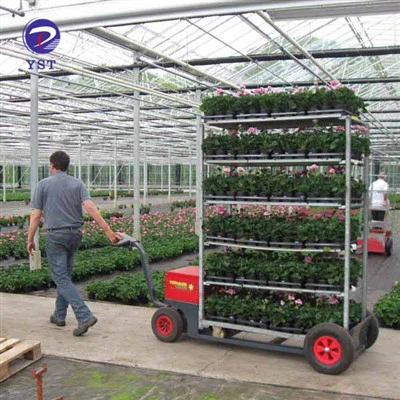 Trolleyplanken voor planten