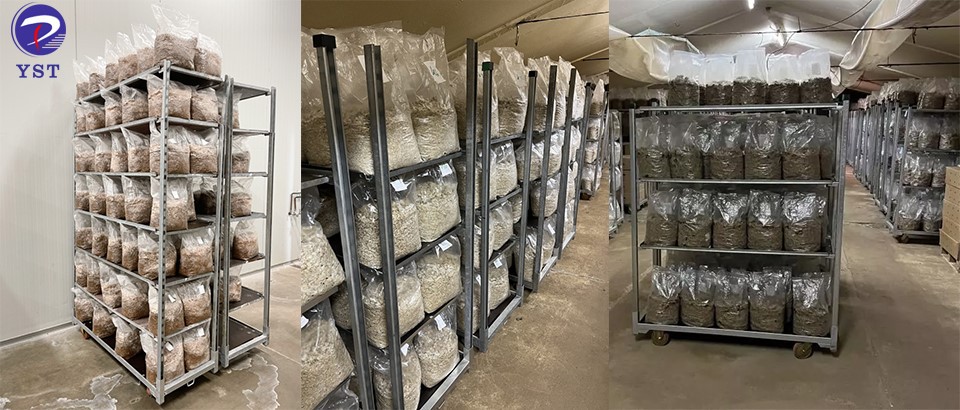 Danish Trolley-2 Danish Trolley-2